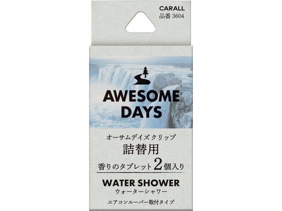 晴香堂 オーサムデイズ クリップ 詰替用 ウォーターシャワー 3604