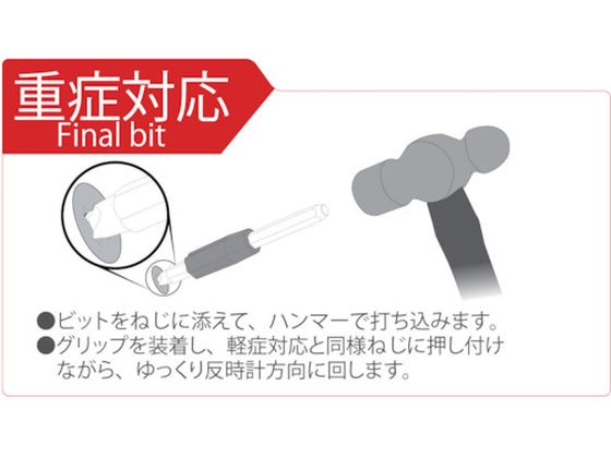 アトラス 日本のネクイハムシ 化石同定への手びき 1985野尻湖昆虫グループ アトラス 日本のネクイハムシ 化石同定への手びき 1985野尻湖
