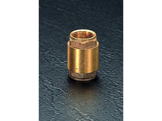 エスコ ねじ付逆止弁 G3／4