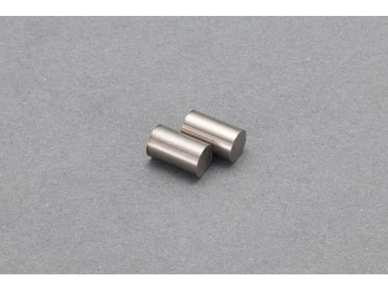 エスコ 強力マグネット 2本 φ6×10mm EA781EB-23