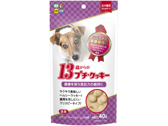 nCybg 13΂̃v`NbL[ 40g