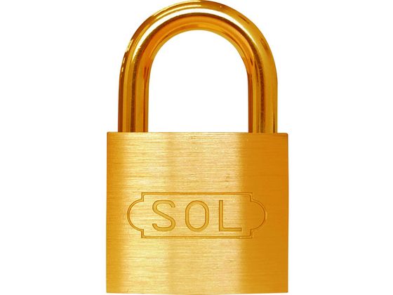 SOL NO.2500 共通同一錠 40 2500SK-40