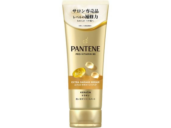 P & G パンテーンE ダメージリペア トリートメント 特大 400G P & G パンテーンE ダメージリペア トリートメント 特大 400G