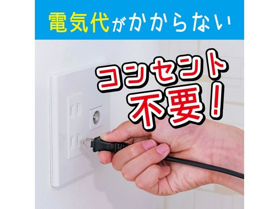 Cocofrio　リピート購入様限定でお値引き価格 金鳥 シンカトリ 200日無臭セットが1,174円 通販【ココデカウ
