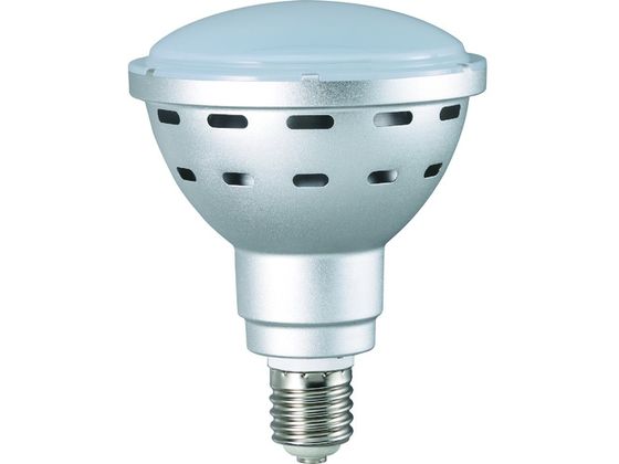 ハタヤ 45WLED電球 LDR45N-H110