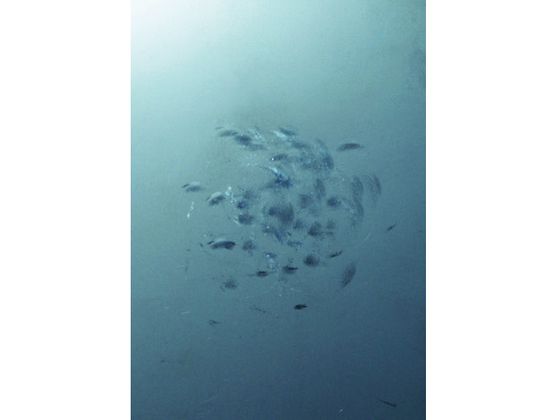 OH フラット板金ハンマー小口径(縦ナラシ)#3／4 FBTS-07 3382176が