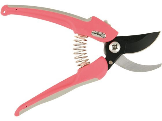 �T�{�e�� �G�A�[�N�b�V��������n�T�~ �t�b�f