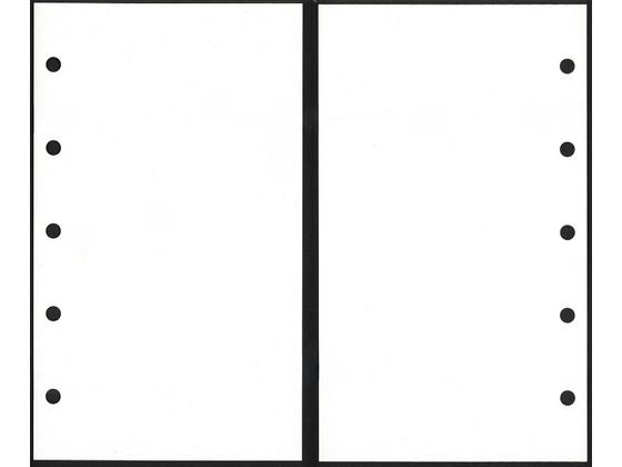 SAKAEテクニカル M5 iroful リフィル75g 5穴 50枚 無地 PI-M5R-MWが365