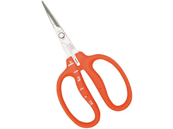 �ߐ� �X�e���Ԃǂ��� �ܓ� B-500S