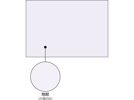 ヒサゴ コピー偽造予防用紙 浮き文字タイプ 600枚 BP2111Z