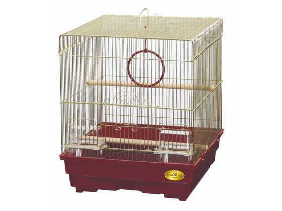 バードパレス・キング 鳥かご] 貧しい マルカン