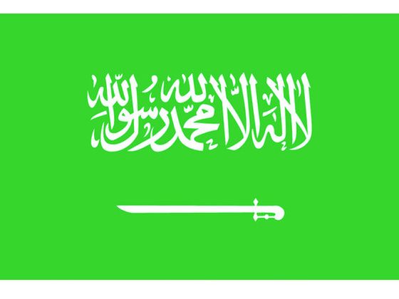 東京製旗 国旗No.1(70×105cm) サウジアラビア 416302