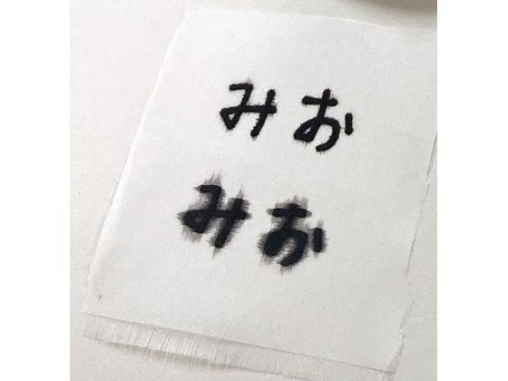 ゼンマイの専用作ります　コメントして下さい シャチハタ おなまえマーカーツイン にじみ対策セット ZNG-AMS／H ZNG