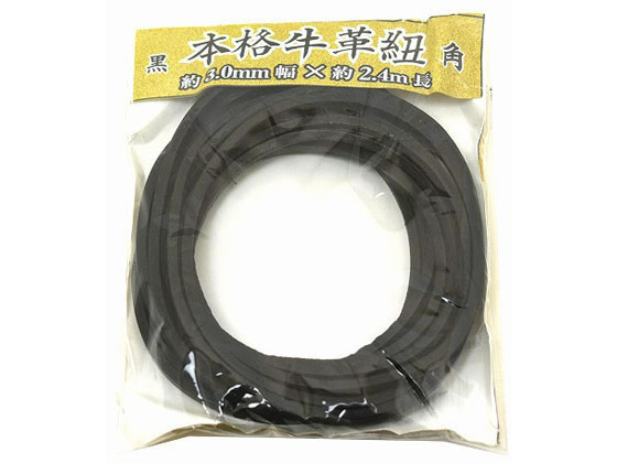 紺屋商事 牛革ひも 角 3.0mm×2.4m 黒 00552001