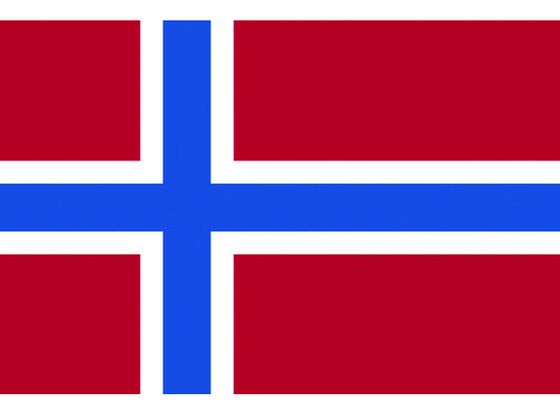 東京製旗 国旗No.1(70×105cm) ノルウェ- 416581