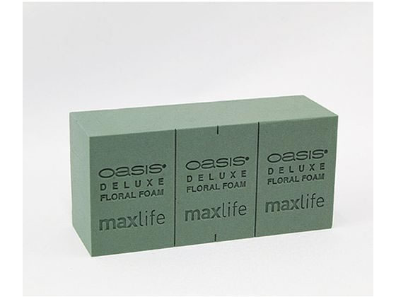 オアシス デラックス10個入り maxlife KN0102