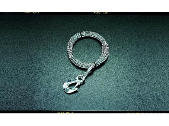 エスコ ワイヤー フック付 4.8mm×15m EA840DC-15