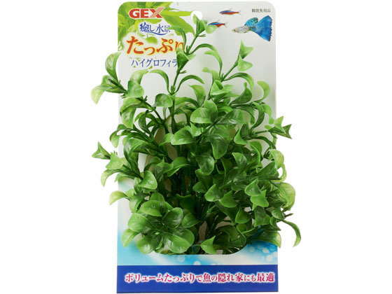 ジェックス 癒し水景 たっぷりハイグロフィラ
