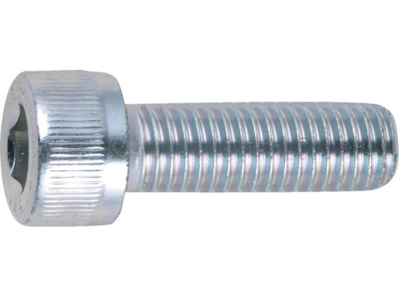 TRUSCO 六角穴付ボルト三価 白 全ネジ M4×10 37本入 B730-0410 TRUSCO 六角穴付ボルト三価 白 全ネジ M4×10 37本入 B730-0410
