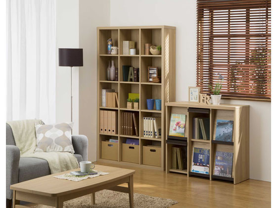 セパルテック　ディスプレイラック ディスプレイラック 幅94.7cm 2段 本棚 フラップ扉 セパルテック （ ラック 収納棚 収納ラック 書棚 リビング収納 本収納 ディスプレイ収納  シンプル 木目調 木製 ） | リビングート　店