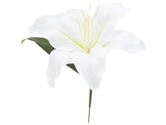 松村工芸 V22015 カサブランカリリー #001 ホワイト/66-817529-0 松村工芸 V22015 カサブランカリリー #001 ホワイト/66-817529-0