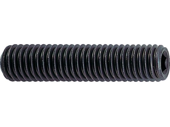 TRUSCO 六角穴付止めネジ サイズM2×3 43本入 B31-0203 TRUSCO 六角穴付止めネジ サイズM2×3 43本入 B31-0203