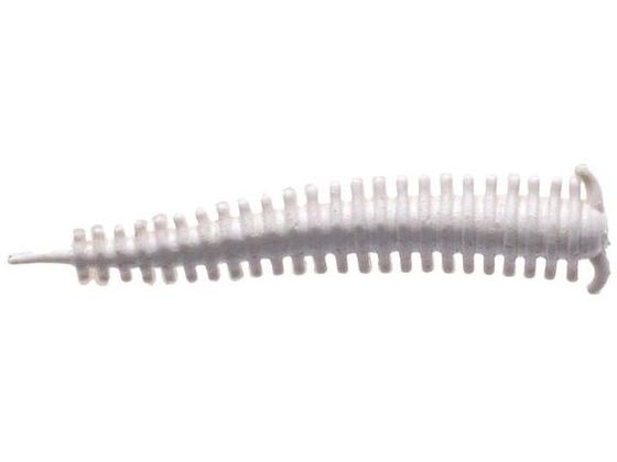 ピュアフィッシング BKL G SWサンドワーム G2SQSW2-WH