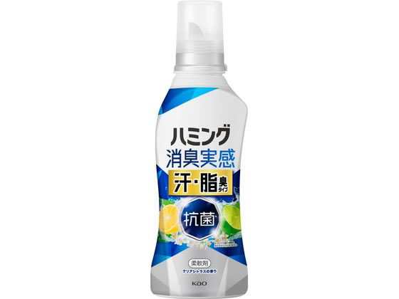 KAO ハミング 消臭実感 汗・脂臭タイプ クリアシトラス 本体 500mL KAO ハミング 消臭実感 汗・脂臭タイプ クリアシトラス 本体 500mL