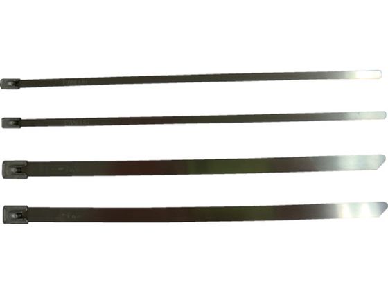 パンドウイット MLTタイプ 自動ロック式ステンレススチールバンド SUS304 幅4.6mm 長さ1156mm 25本入り MLT14S-Q MLT14S-Q パンドウイット MLTタイプ 自動ロック式ステンレススチールバンド SUS304 幅4.6mm 長さ1156mm 25本入り MLT14S-Q MLT14S-Q