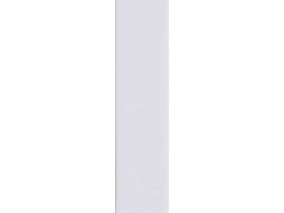 西敬 ニュールックケース用名札 30×120mm 10個入り NC-S10