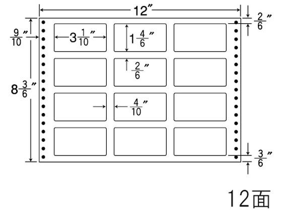NANA ナナフォーム 12×8(3・6)インチ 12面 LT12N