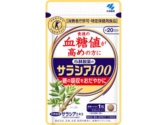 小林製薬 小林製薬のサラシア100(60粒) 小林製薬 小林製薬のサラシア100(60粒)