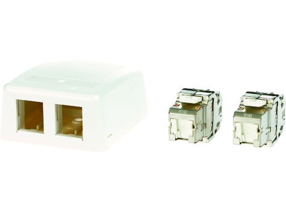 コーニング Cat6A RJ45ジャック+露出型アウトレット(2ポート) コーニング Cat6A RJ45ジャック+露出型アウトレット(2ポート)