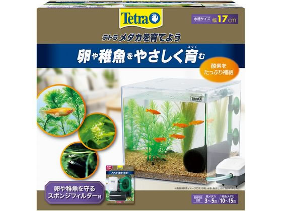 スペクトラムブランズジャパン テトラ メダカを育てよう PL-17KB スペクトラムブランズジャパン テトラ メダカを育てよう PL-17KB