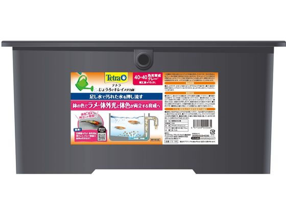スペクトラム テトラ じょうろでキレイメダカ鉢40×40 色光育成グレー スペクトラム テトラ じょうろでキレイメダカ鉢40×40 色光育成グレー