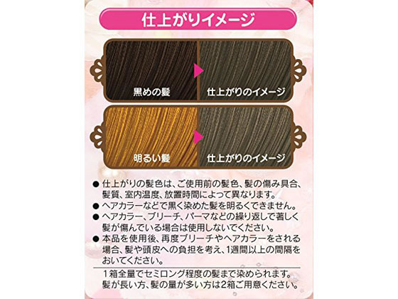 ヘンケル フレッシュライト ミルキーヘアカラー ミラーアッシュ 1セット が619円 ココデカウ