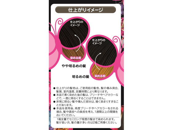 ヘンケル フレッシュライト ミルキー髪色もどし ナチュラルブラック 1セット が619円 ココデカウ