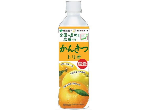 伊藤園 ニッポンエール 国産 かんきつトリオ 400g 伊藤園 ニッポンエール 国産 かんきつトリオ 400g