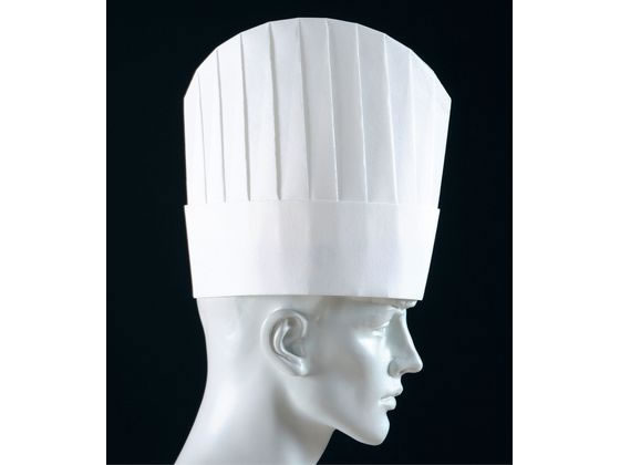 ADVANCE パリスハット 10枚入 PH-15NT 25cm 8836100 ADVANCE パリスハット 10枚入 PH-15NT 25cm 8836100