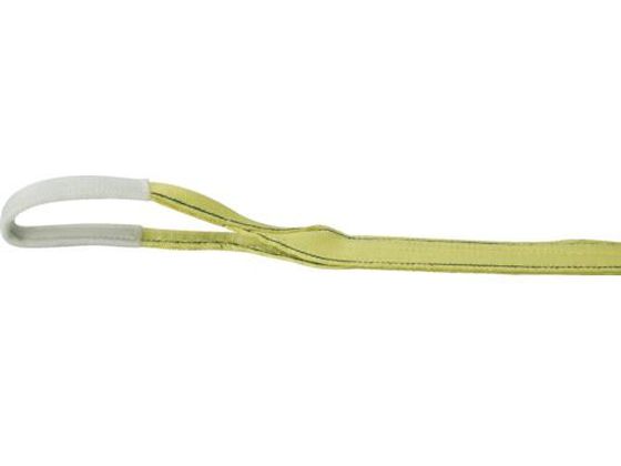 ●型番：TPS50-45●最大使用荷重（t）：1．6 ●全長（m）：4．5 ●ベルト寸法（mm）幅×厚さ：50×8●JISB8818規格品 ●使用温度：100℃以下 ●最大使用荷重：1．6t（ストレー