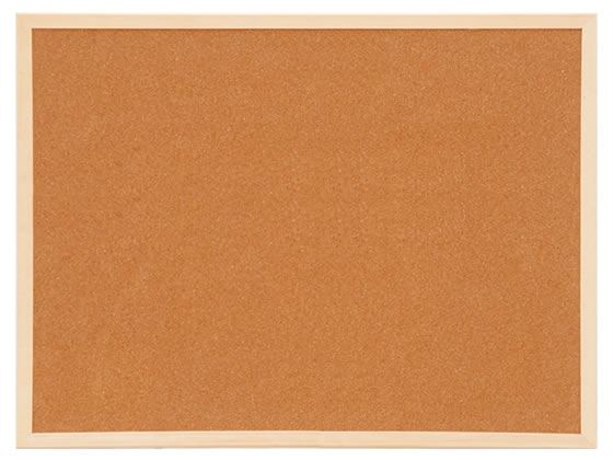 ナカバヤシ 両面コルクボード 600×450mm WCB-E6045