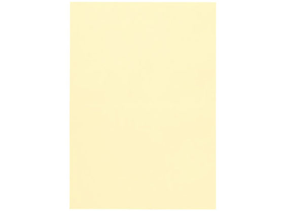 スマートバリュー カラー用紙 A3 特厚口 500枚 レモン A517J-6