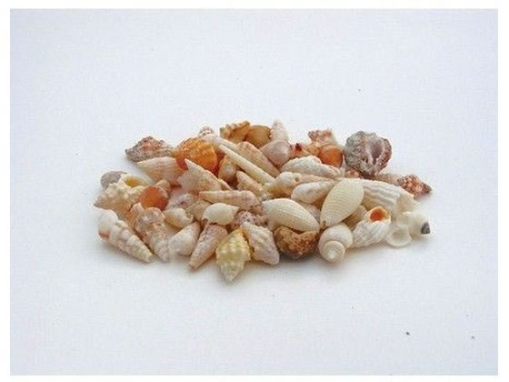 松村工芸 ビーチシェル 120g NO.998／165-1109-0