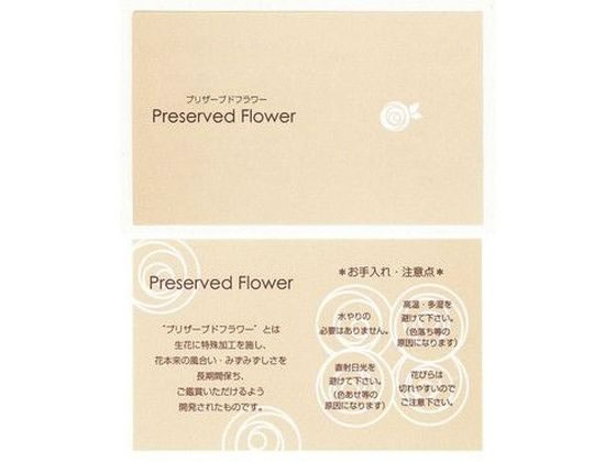 松村工芸 インストラクションカードIC-1 50マイ／102-2001-0
