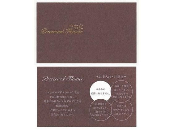 松村工芸 インストラクションカードIC-2 50マイ／102-2002-0