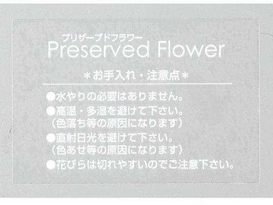 松村工芸 インストラクションシールIS-5 50マイ／102-2105-0
