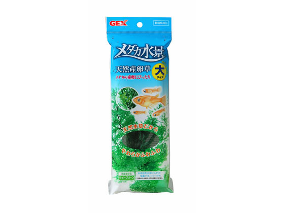 ジェックス メダカ水景 天然産卵草 大