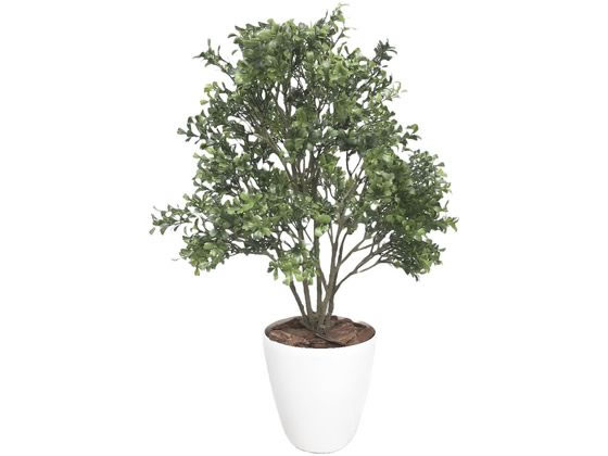 ササガワ 人工観葉植物 ボックスウッド Mサイズ 高さ70cm ササガワ 人工観葉植物 ボックスウッド Mサイズ 高さ70cm