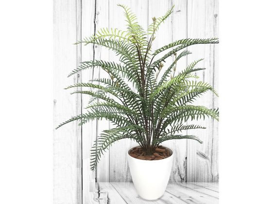 ササガワ 人工観葉植物 タマシダ Mサイズ 高さ100cm ササガワ 人工観葉植物 タマシダ Mサイズ 高さ100cm