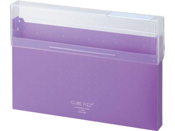 リヒトラブ CUBE FIZZ コングレスケース A4 パープル A6024-10